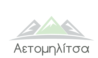 Αετομηλίτσα logo