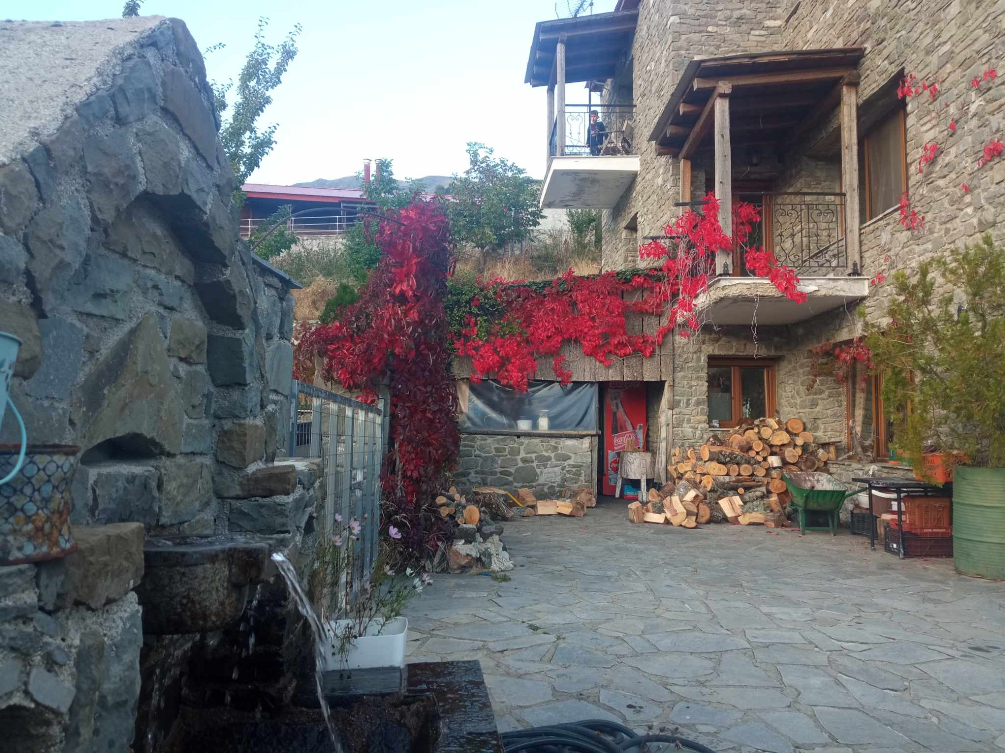 ΞΕΝΩΝΑΣ ΑΕΤΟΜΗΛΙΤΣΑΣ